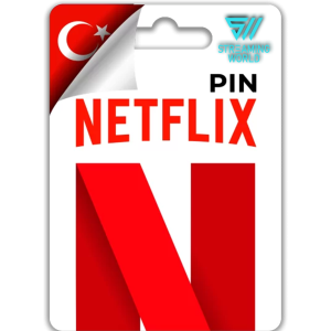 Netflix 250 TL
